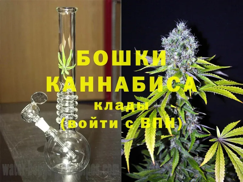 купить наркоту  Жуков  Бошки марихуана Amnesia 